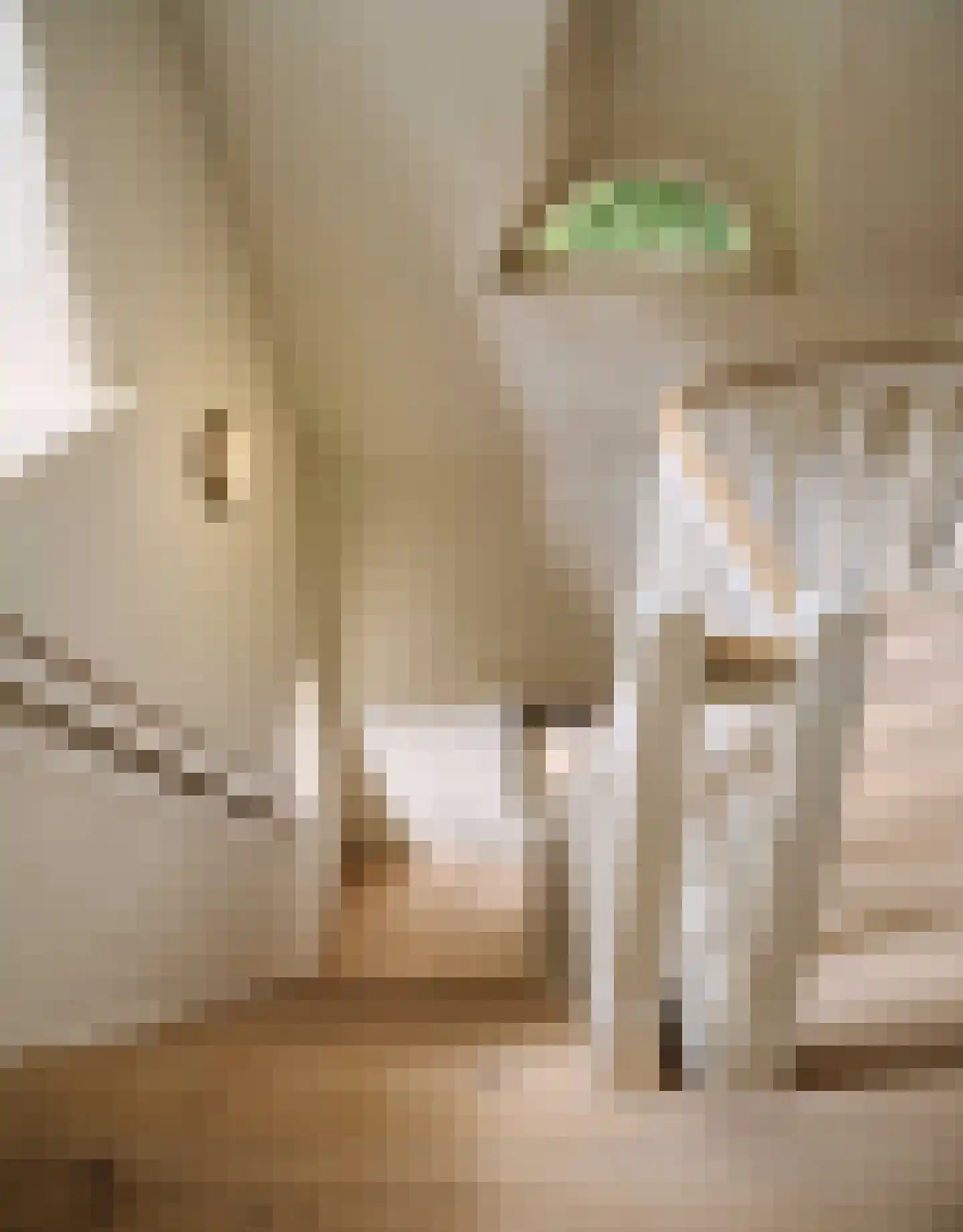 Eeuwigelaan 17 Bergen (NH) thumbnail 34