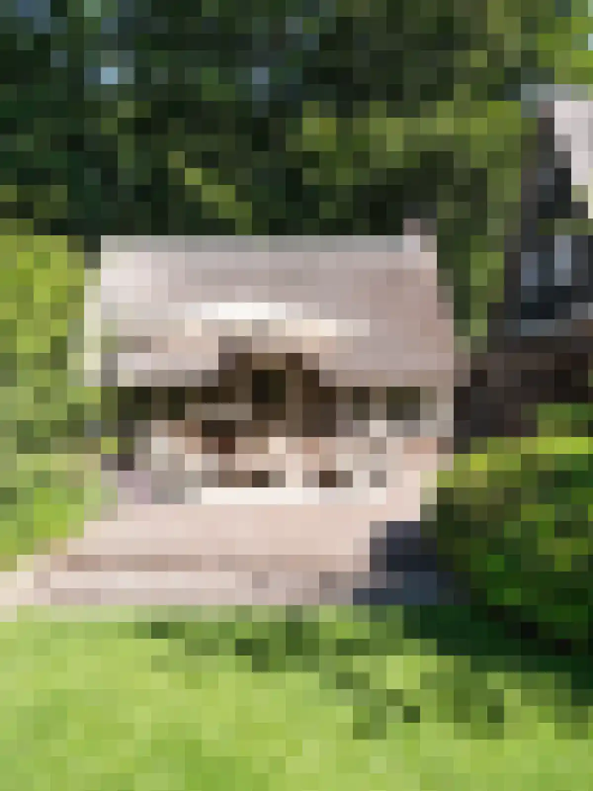 Eeuwigelaan 17 Bergen (NH) thumbnail 35