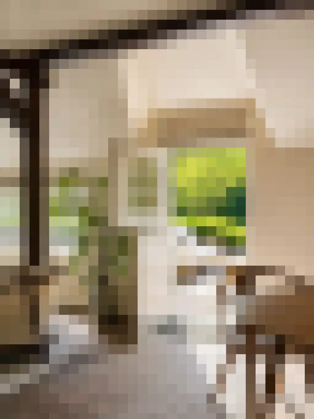 Eeuwigelaan 17 Bergen (NH) thumbnail 37