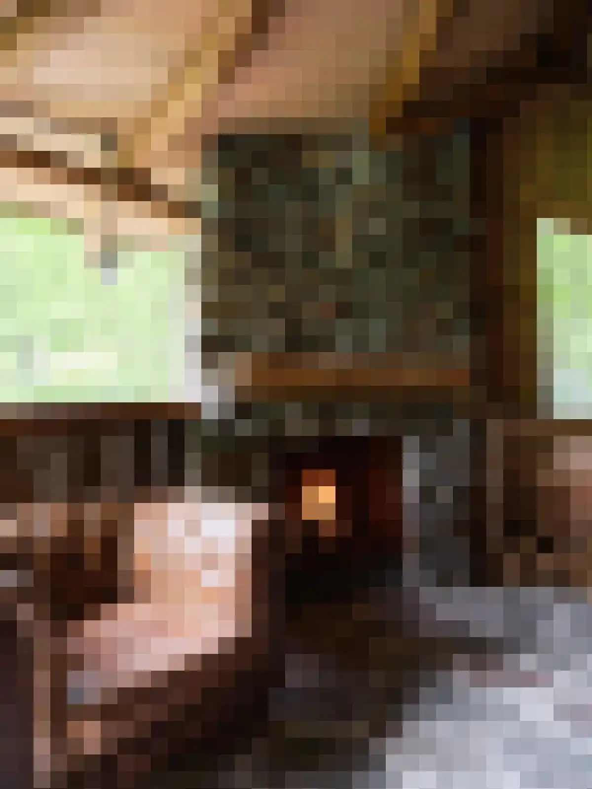 Eeuwigelaan 17 Bergen (NH) thumbnail 41
