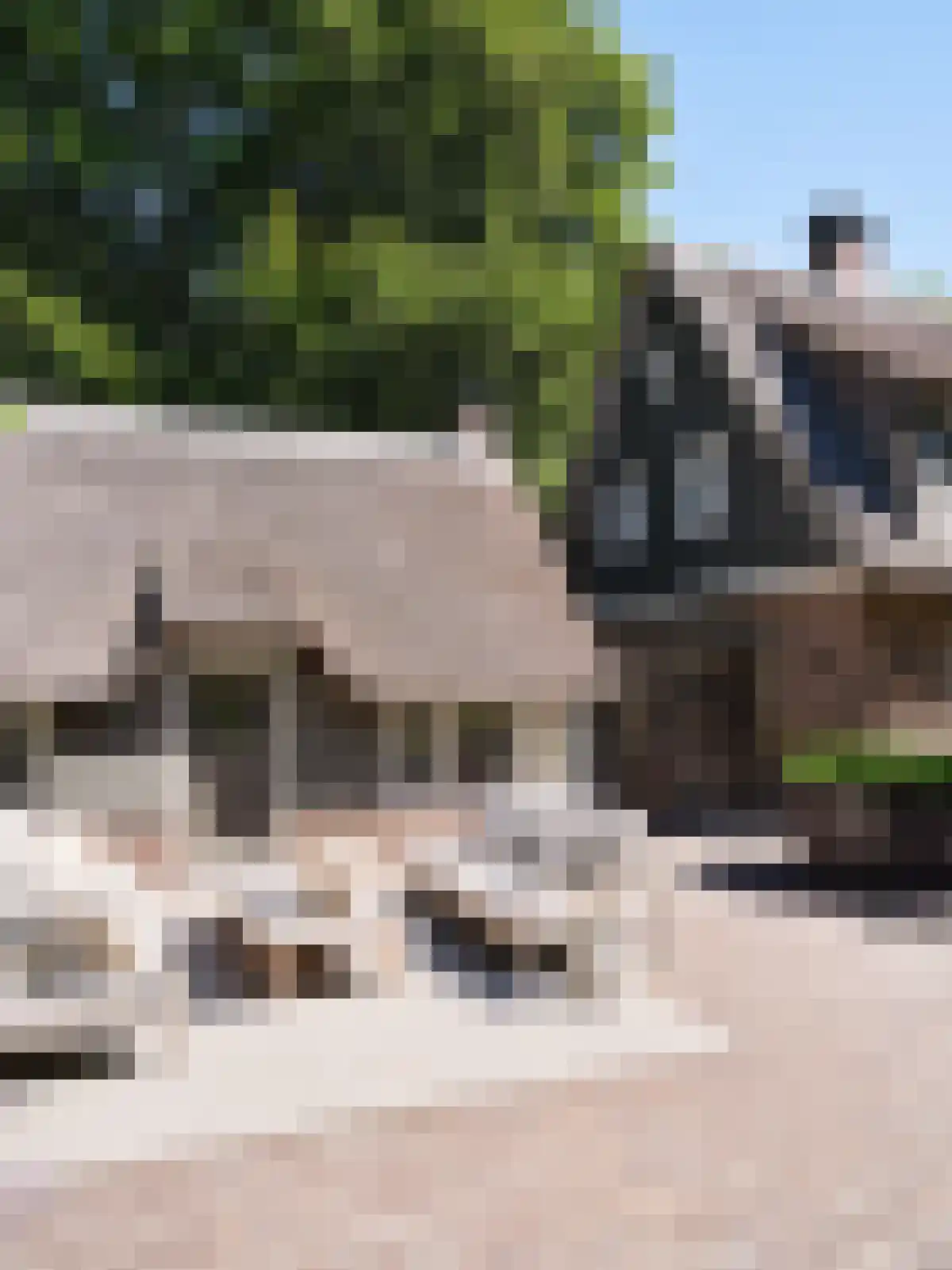Eeuwigelaan 17 Bergen (NH) thumbnail 5