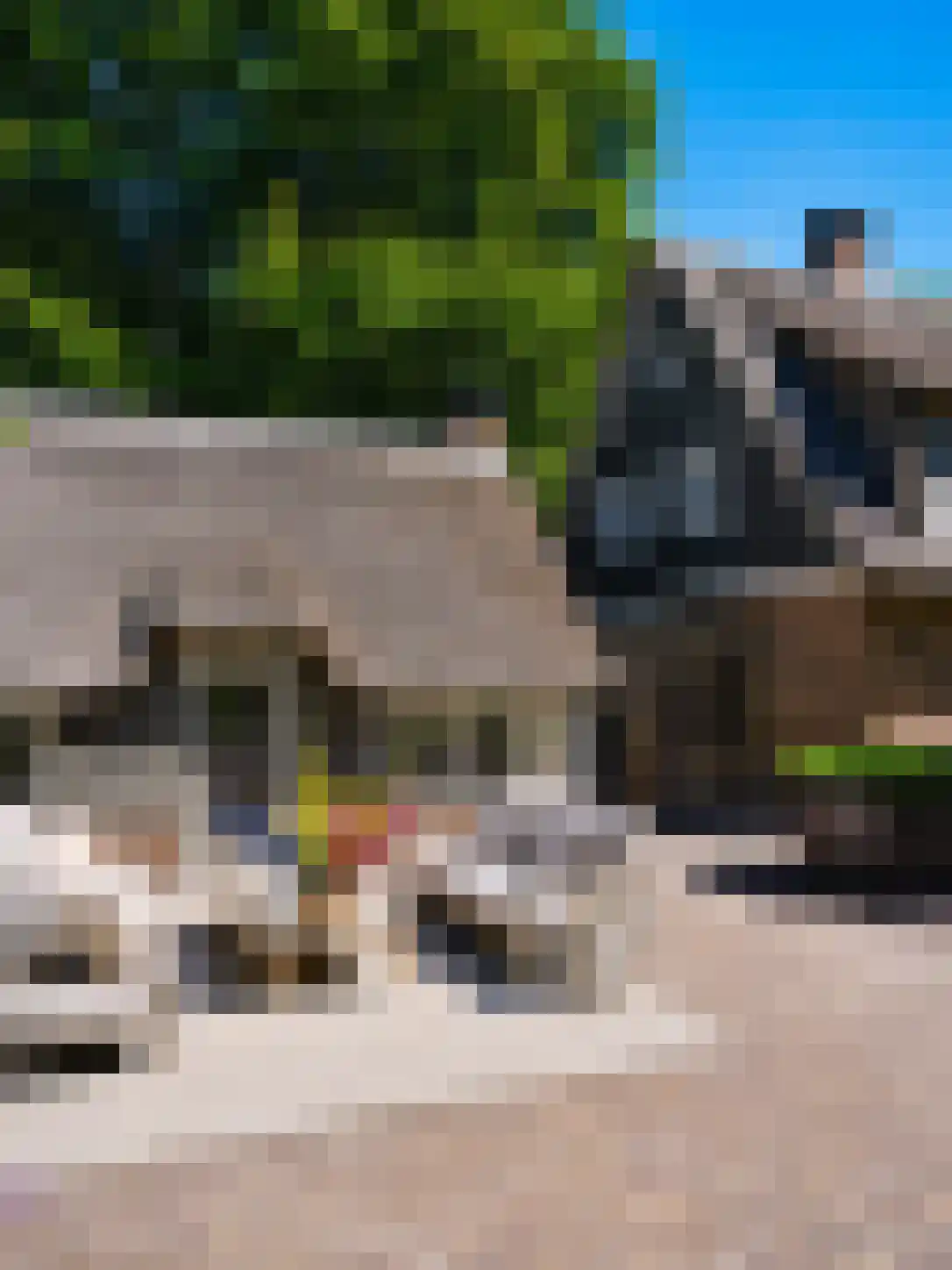 Eeuwigelaan 17 Bergen (NH) thumbnail 6