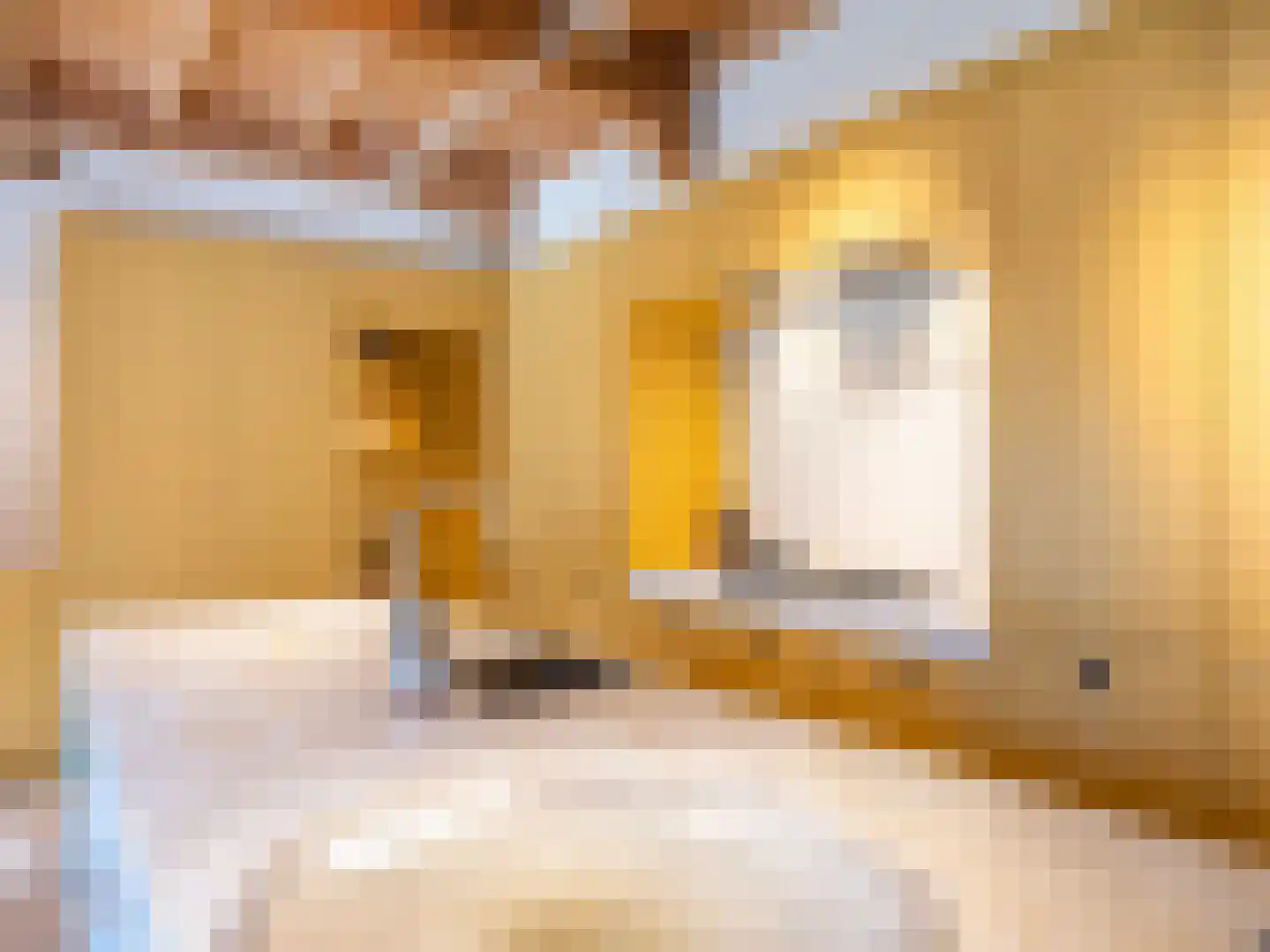 Eeuwigelaan 17 Bergen (NH) thumbnail 9