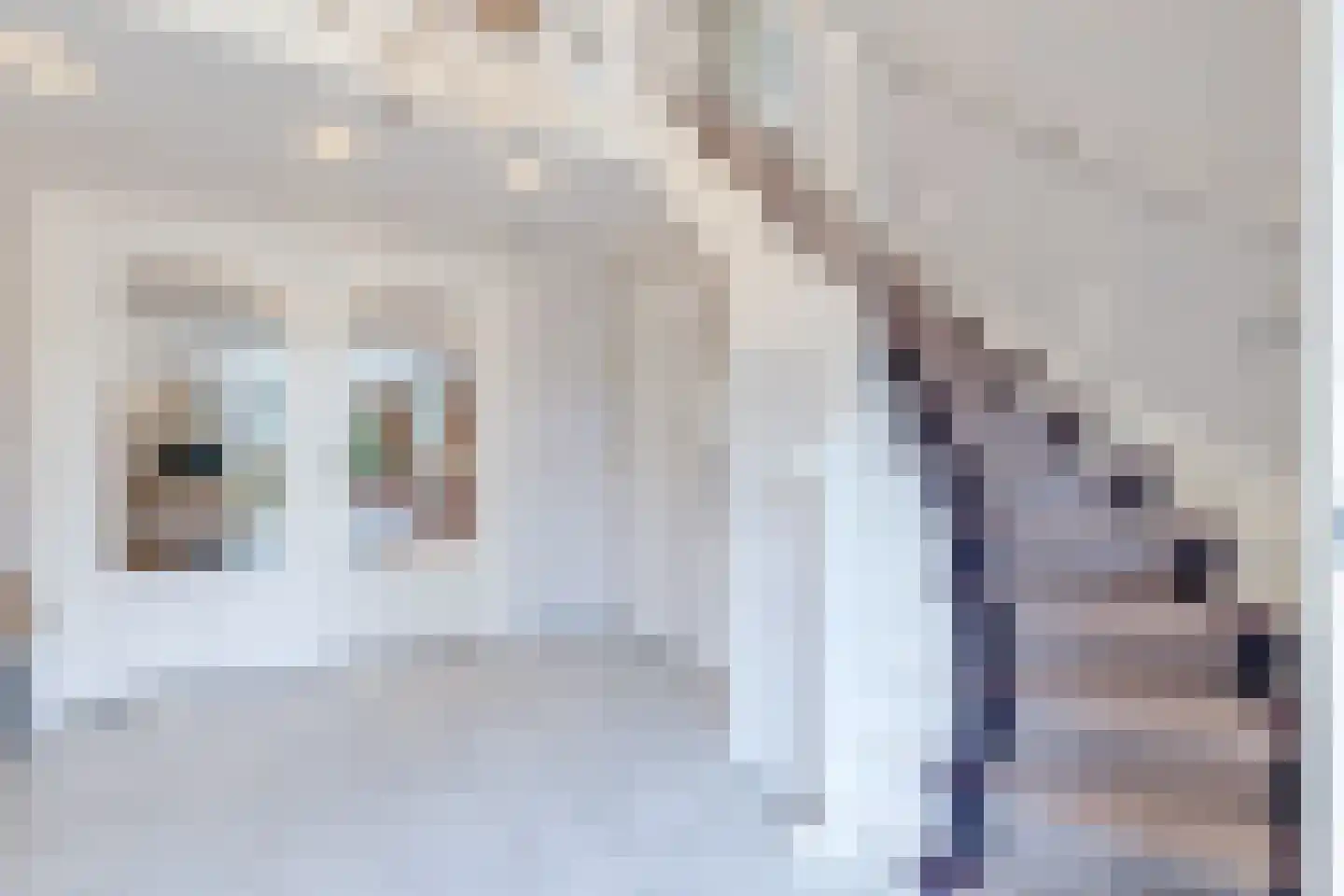 Eeuwigelaan 25 Bergen (NH) thumbnail 10