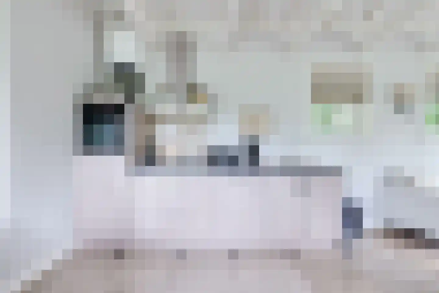 Eeuwigelaan 25 Bergen (NH) thumbnail 100