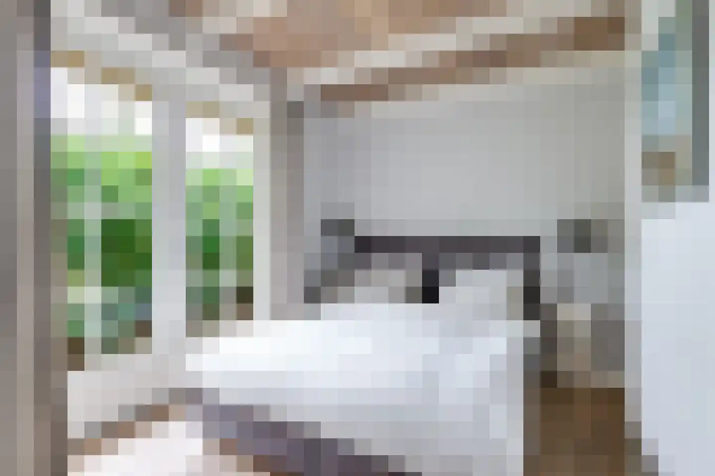 Eeuwigelaan 25 Bergen (NH) thumbnail 102