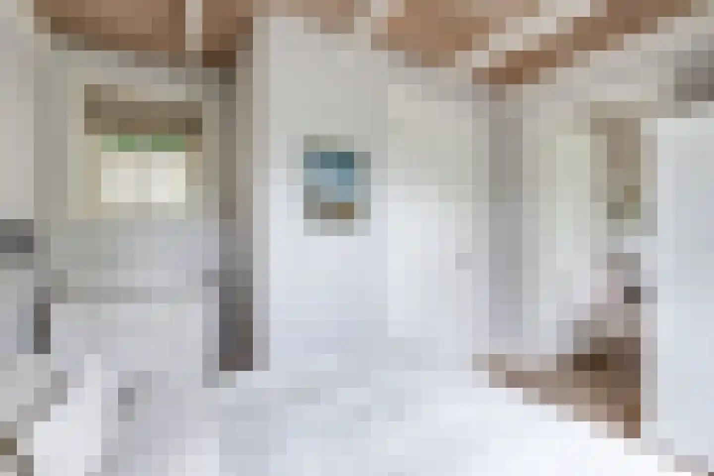 Eeuwigelaan 25 Bergen (NH) thumbnail 104