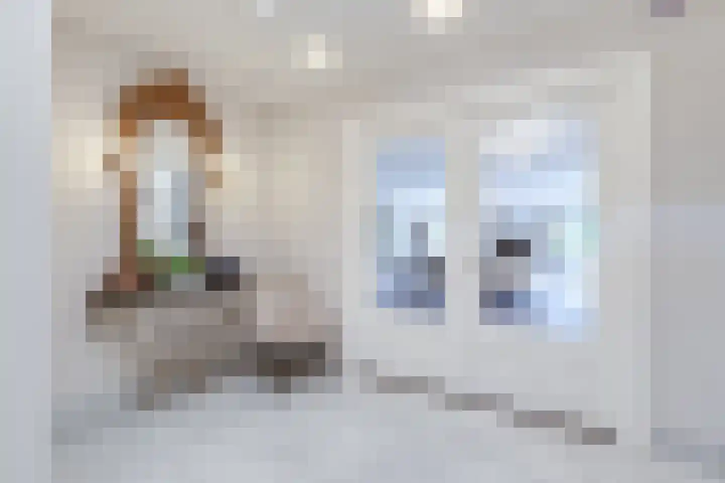 Eeuwigelaan 25 Bergen (NH) thumbnail 11