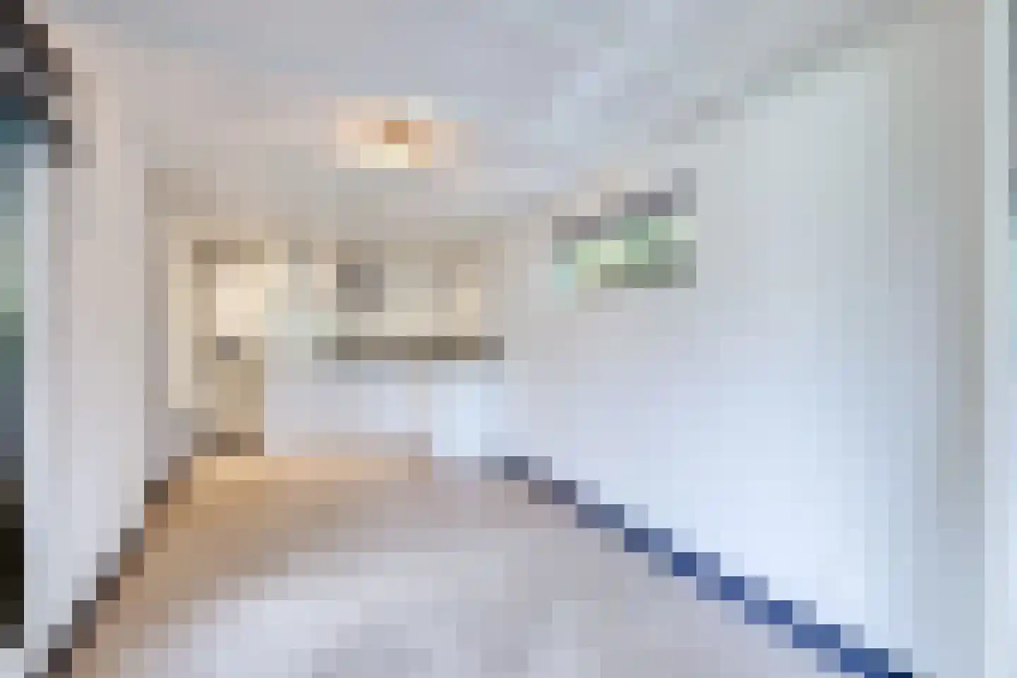 Eeuwigelaan 25 Bergen (NH) thumbnail 115