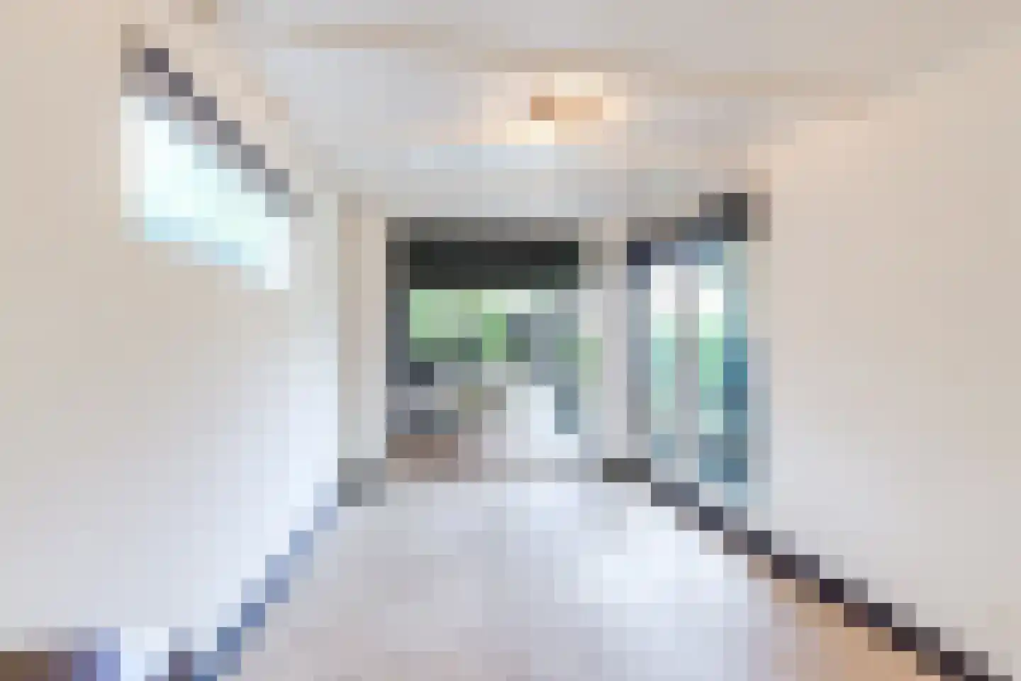 Eeuwigelaan 25 Bergen (NH) thumbnail 117