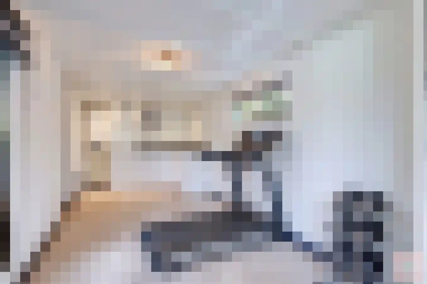Eeuwigelaan 25 Bergen (NH) thumbnail 118