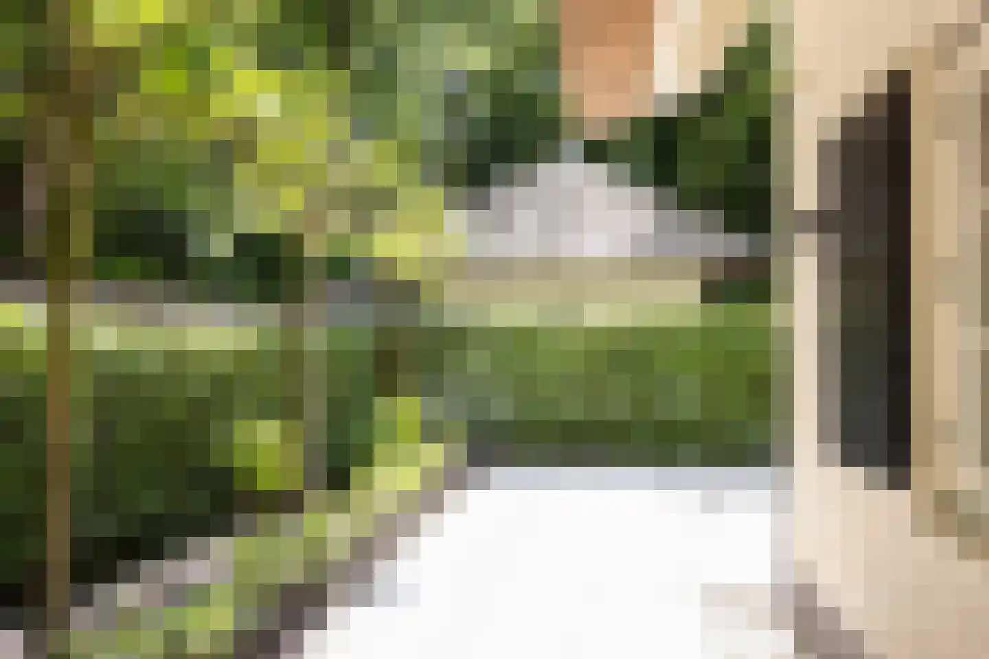 Eeuwigelaan 25 Bergen (NH) thumbnail 12