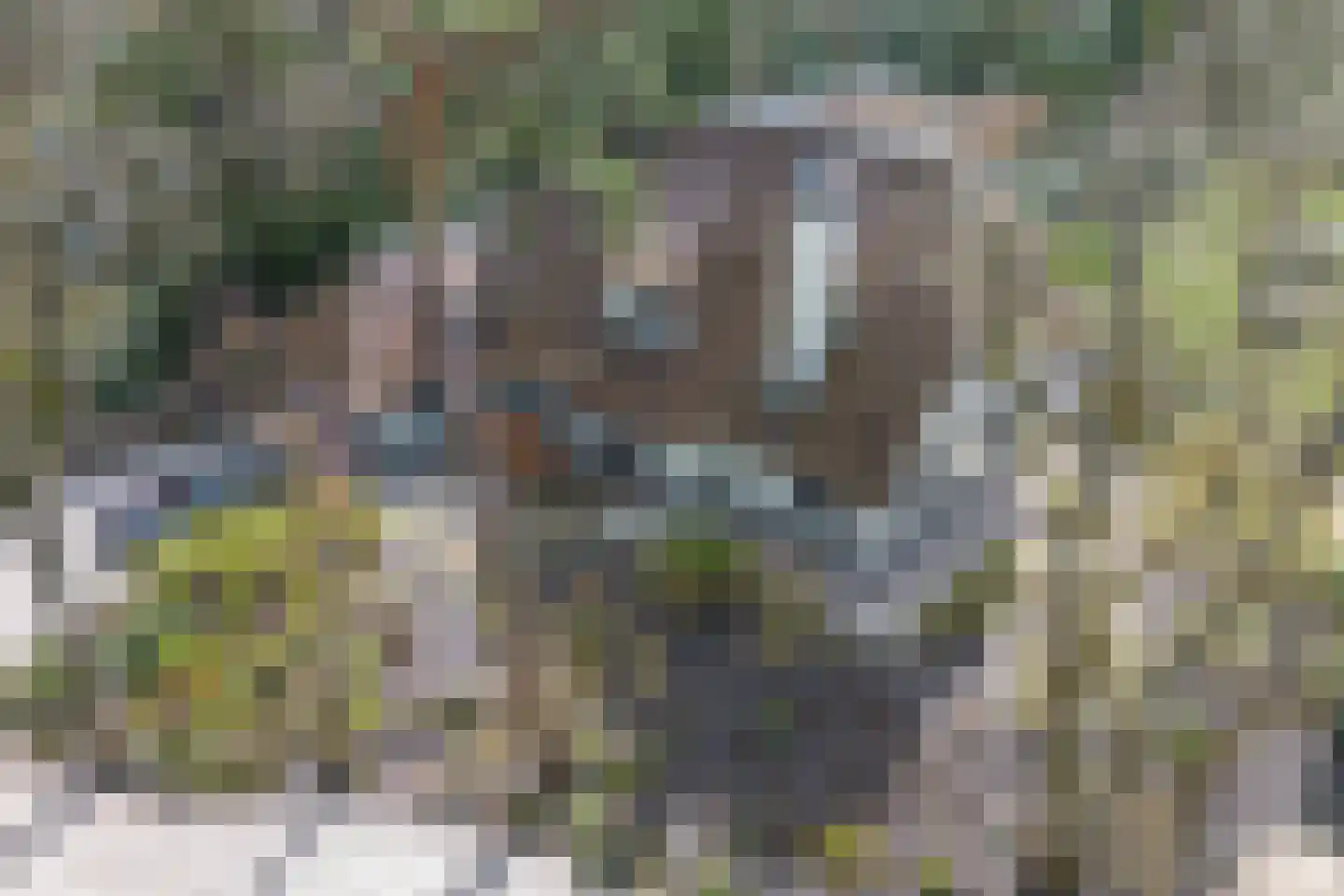 Eeuwigelaan 25 Bergen (NH) thumbnail 124