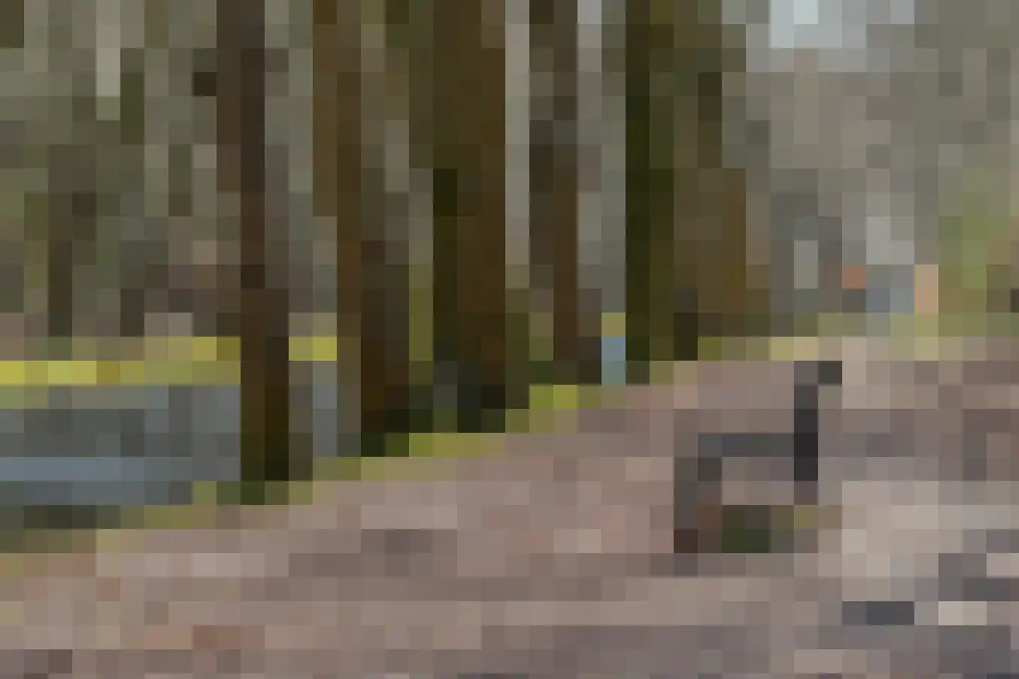 Eeuwigelaan 25 Bergen (NH) thumbnail 125