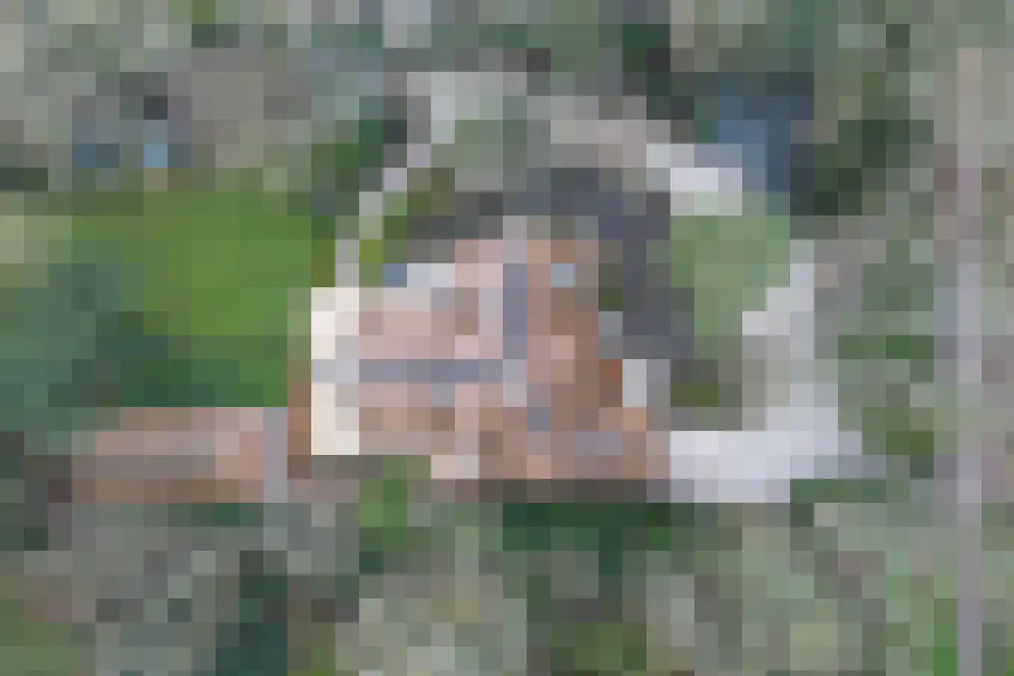 Eeuwigelaan 25 Bergen (NH) thumbnail 127