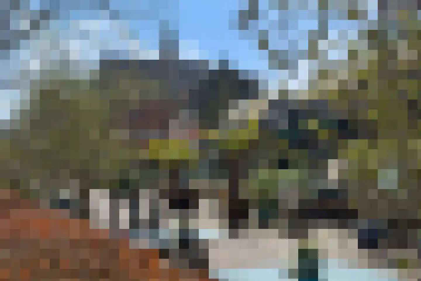 Eeuwigelaan 25 Bergen (NH) thumbnail 131