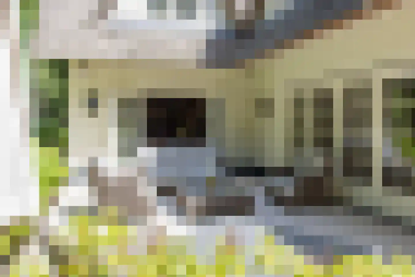 Eeuwigelaan 25 Bergen (NH) thumbnail 15