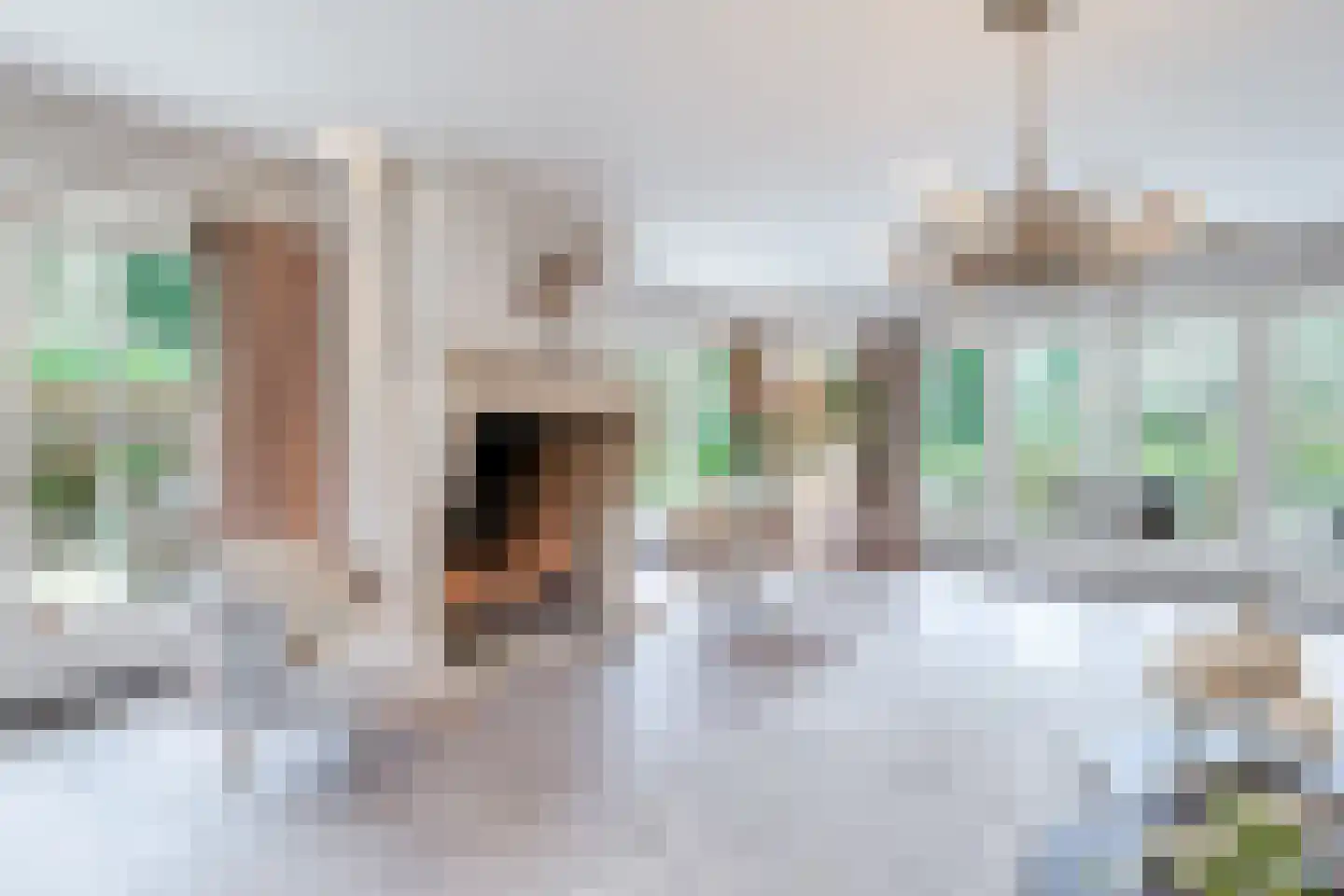 Eeuwigelaan 25 Bergen (NH) thumbnail 16