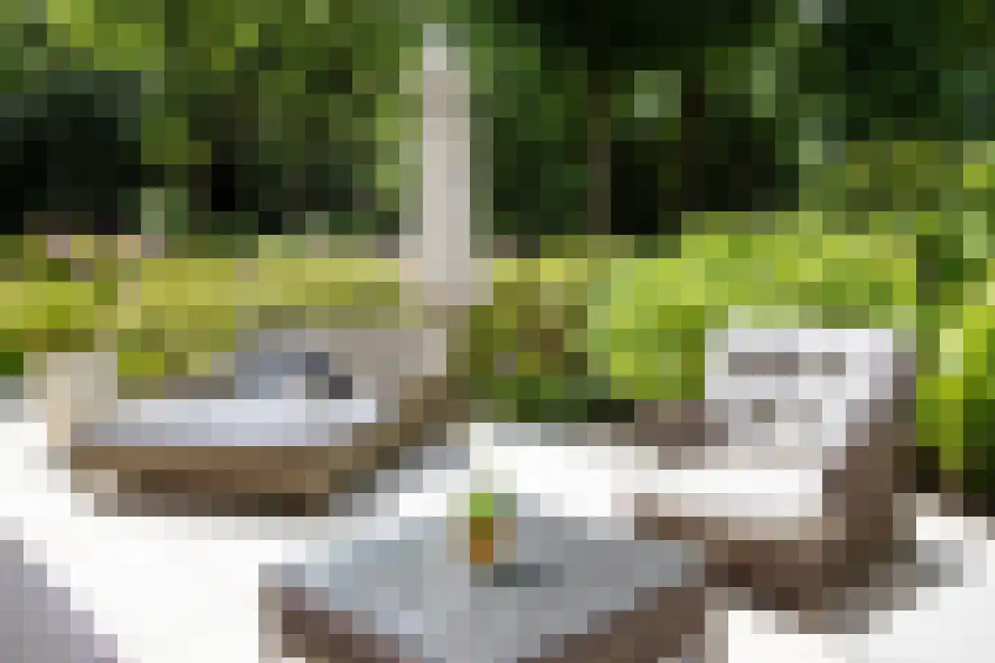 Eeuwigelaan 25 Bergen (NH) thumbnail 16
