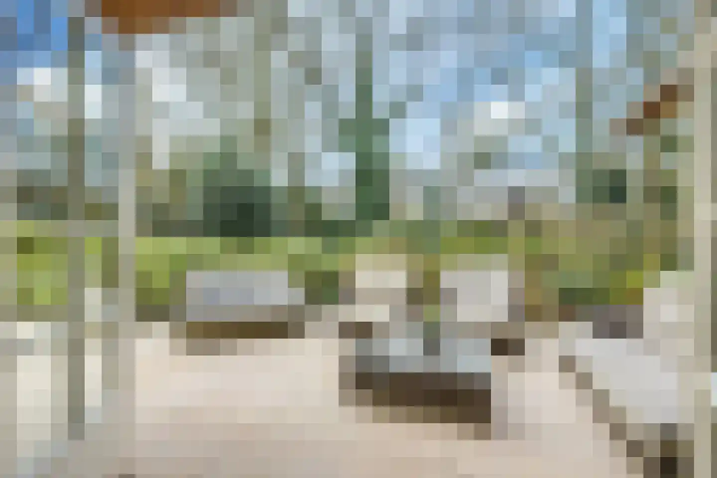 Eeuwigelaan 25 Bergen (NH) thumbnail 17