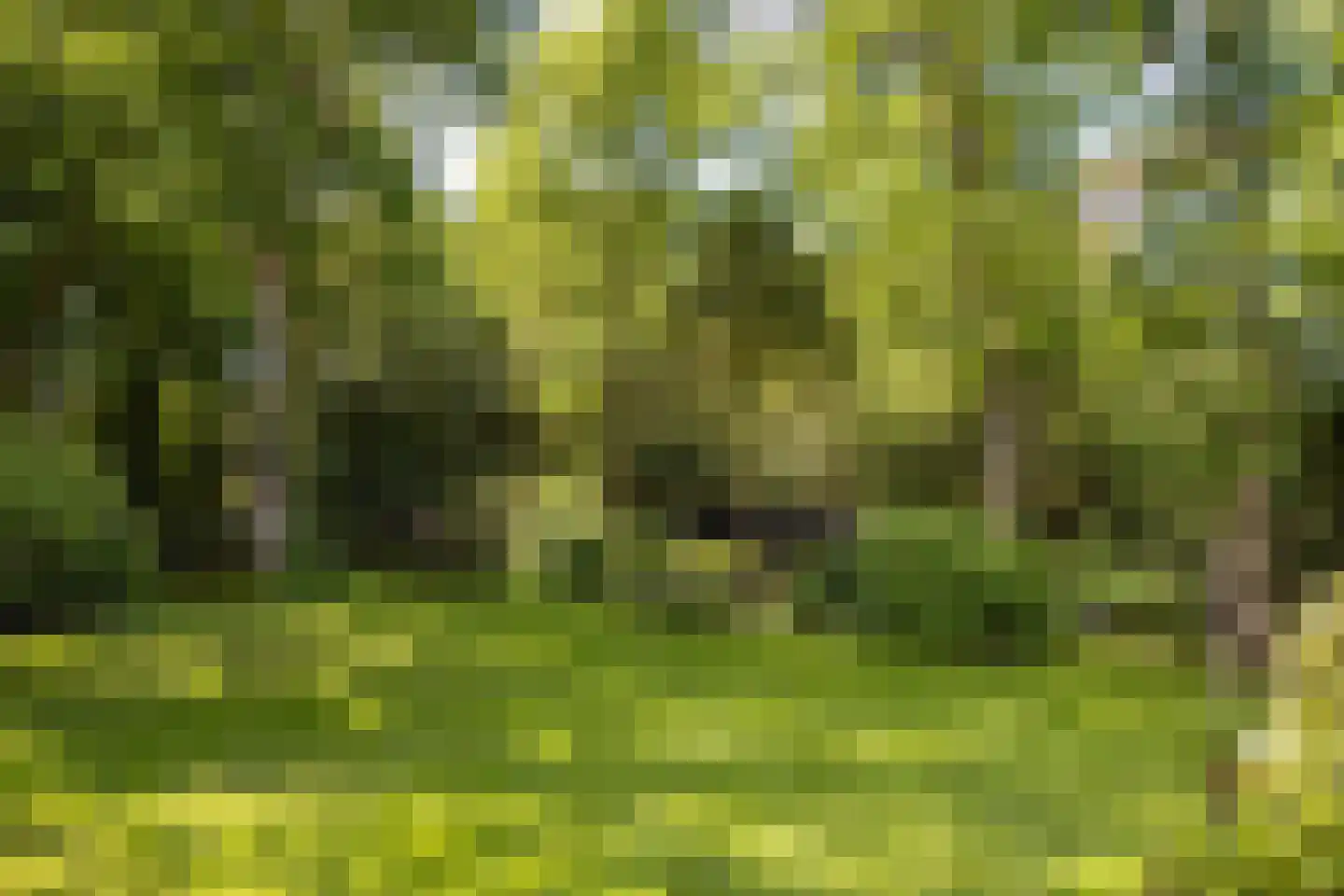 Eeuwigelaan 25 Bergen (NH) thumbnail 18