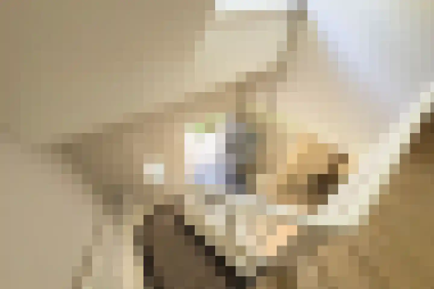 Eeuwigelaan 25 Bergen (NH) thumbnail 19