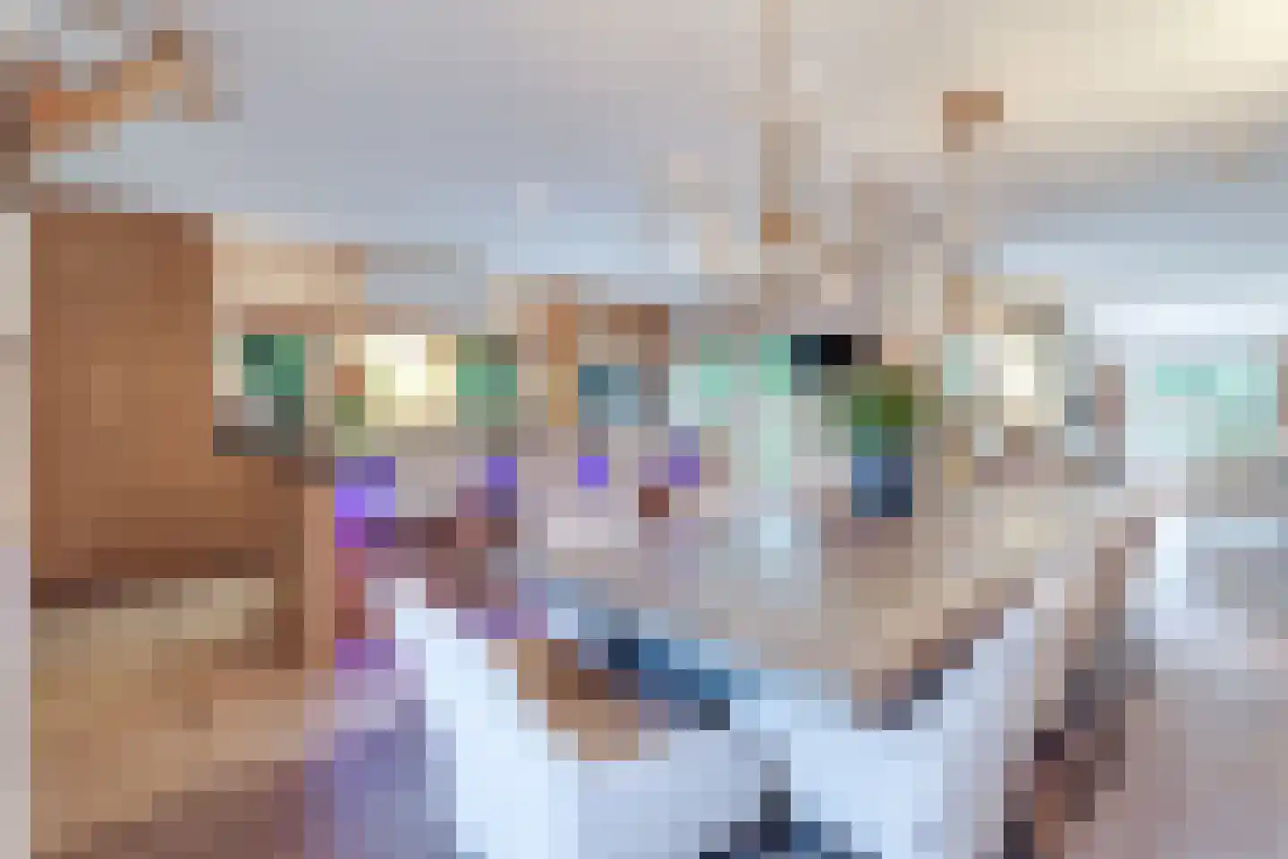 Eeuwigelaan 25 Bergen (NH) thumbnail 20