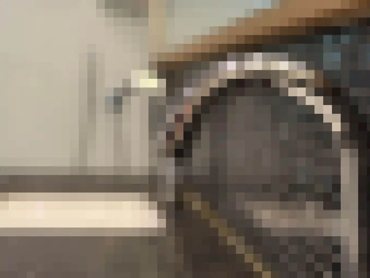 Eeuwigelaan 25 Bergen (NH) thumbnail 26