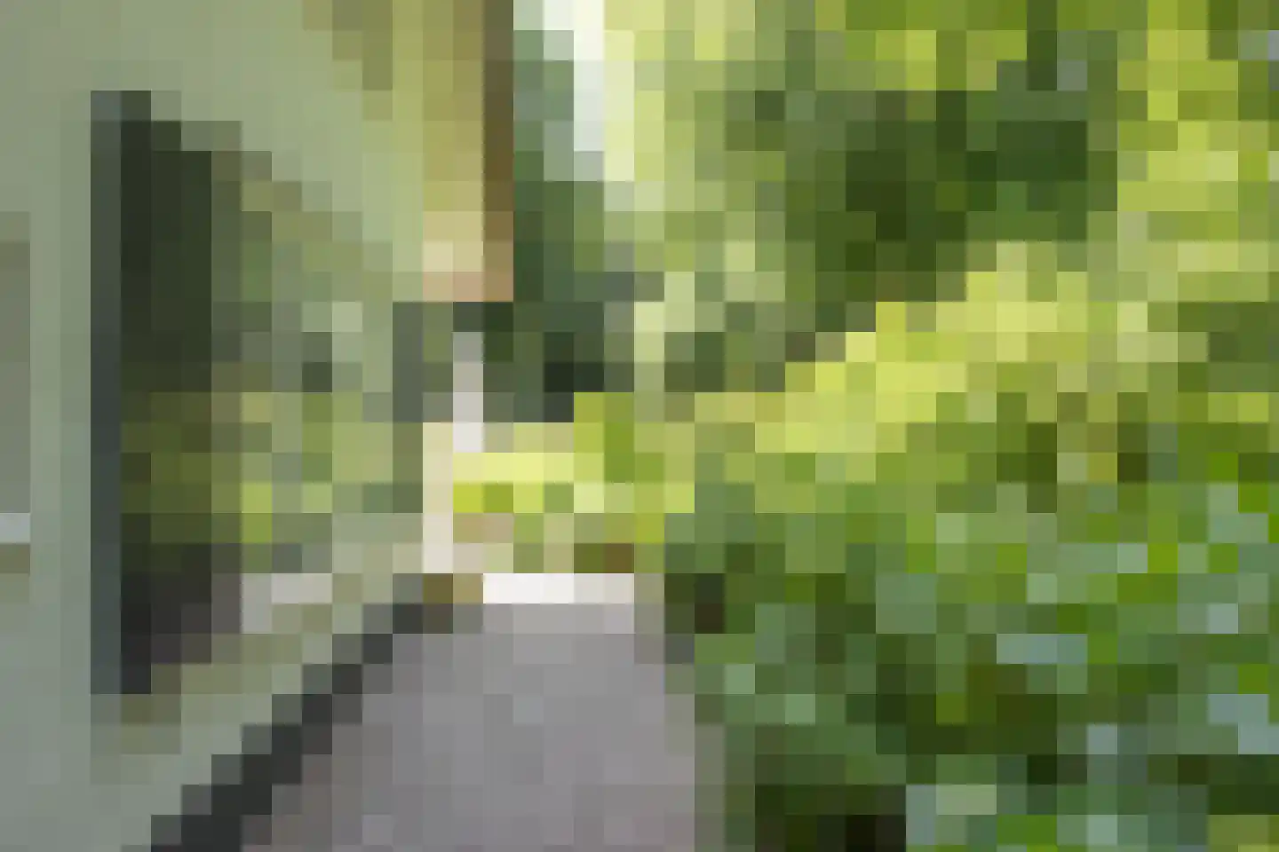 Eeuwigelaan 25 Bergen (NH) thumbnail 30