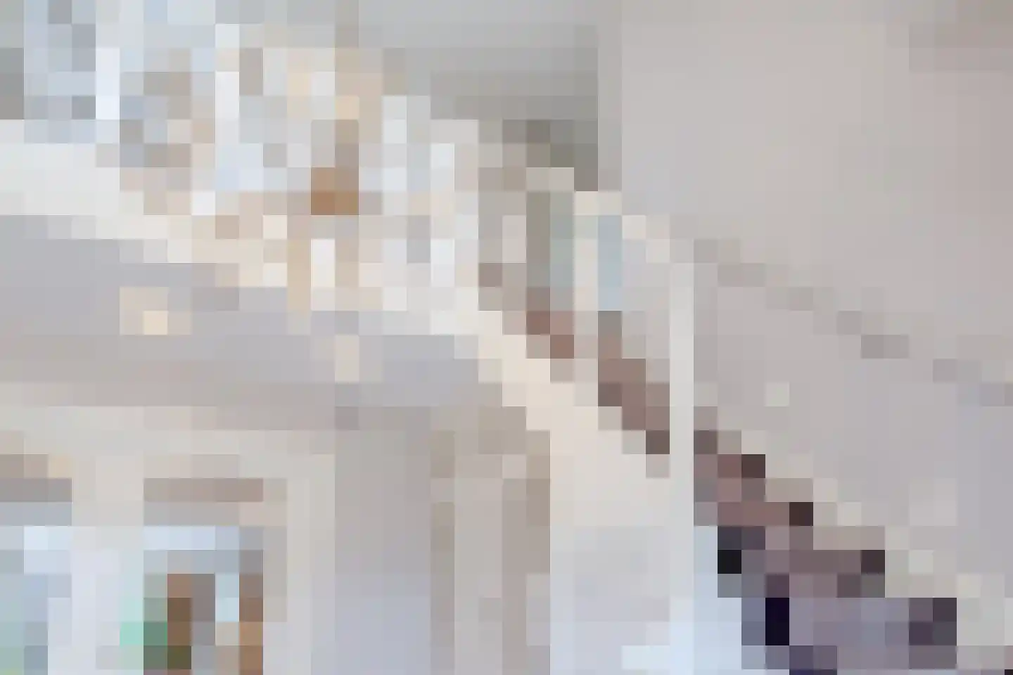 Eeuwigelaan 25 Bergen (NH) thumbnail 30