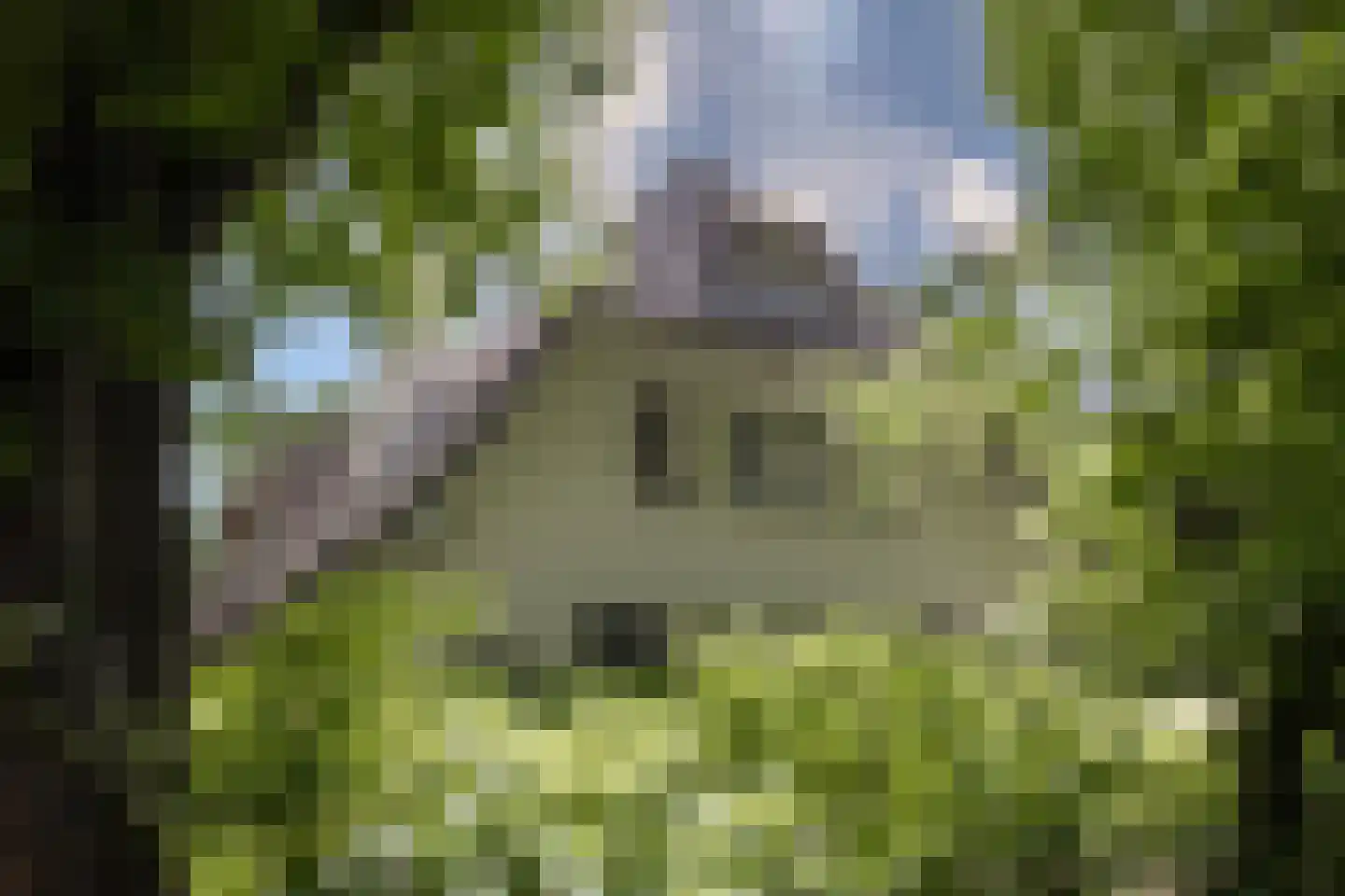 Eeuwigelaan 25 Bergen (NH) thumbnail 31