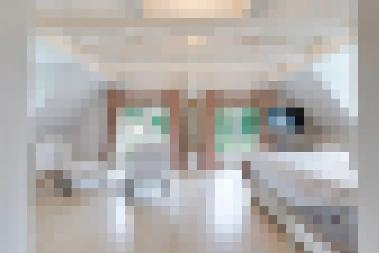 Eeuwigelaan 25 Bergen (NH) thumbnail 32