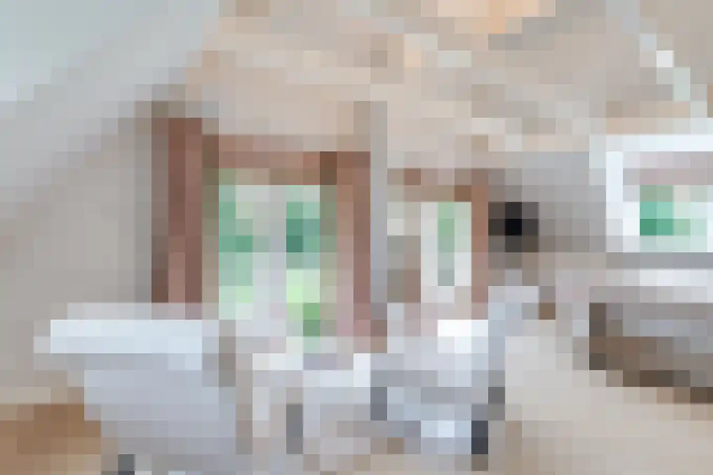 Eeuwigelaan 25 Bergen (NH) thumbnail 33