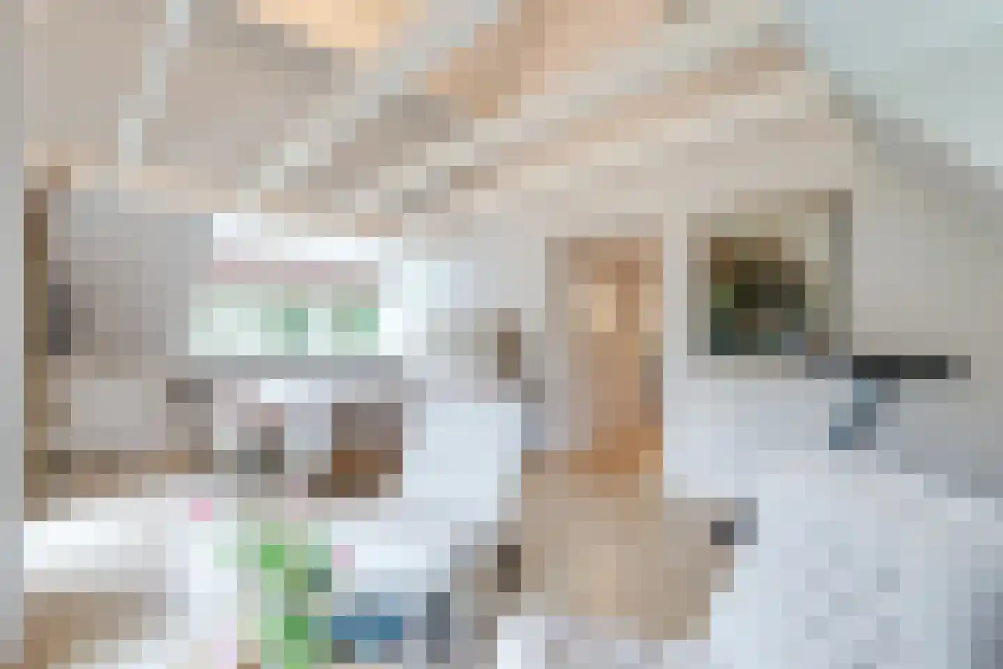 Eeuwigelaan 25 Bergen (NH) thumbnail 34