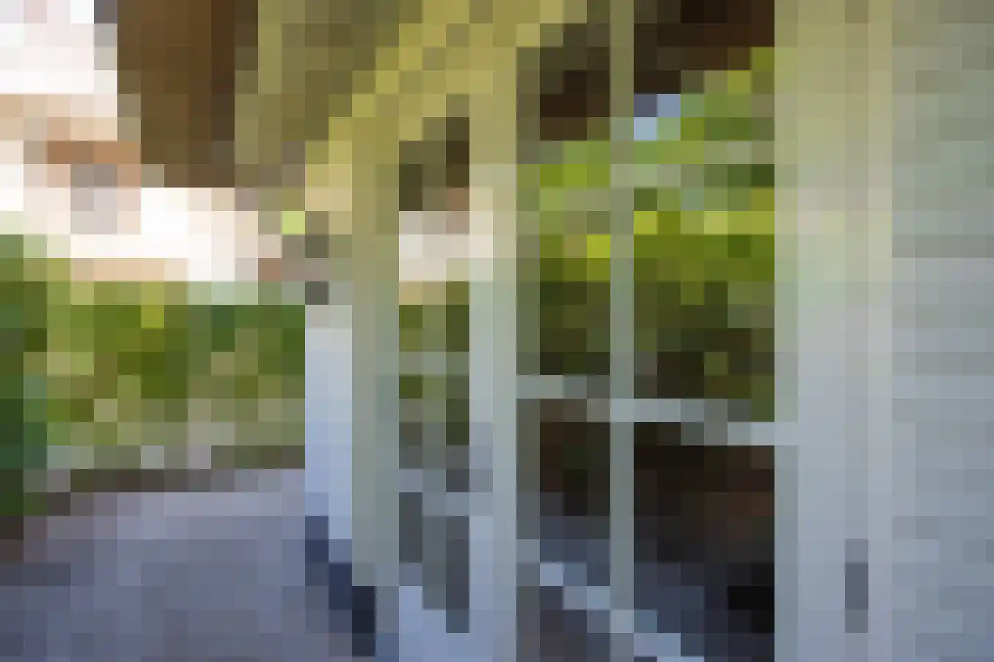 Eeuwigelaan 25 Bergen (NH) thumbnail 36