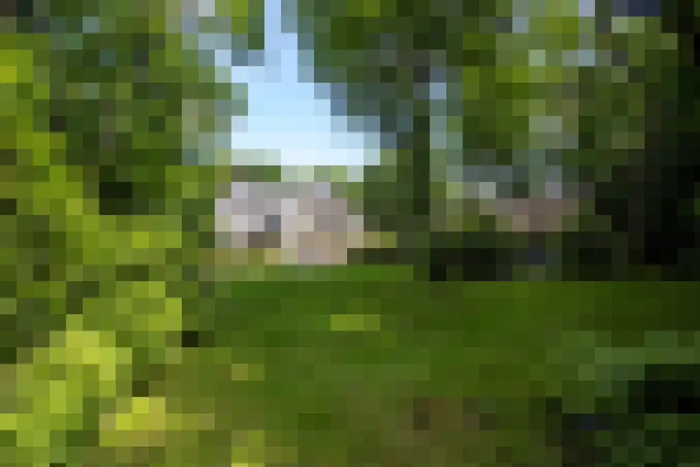 Eeuwigelaan 25 Bergen (NH) thumbnail 37
