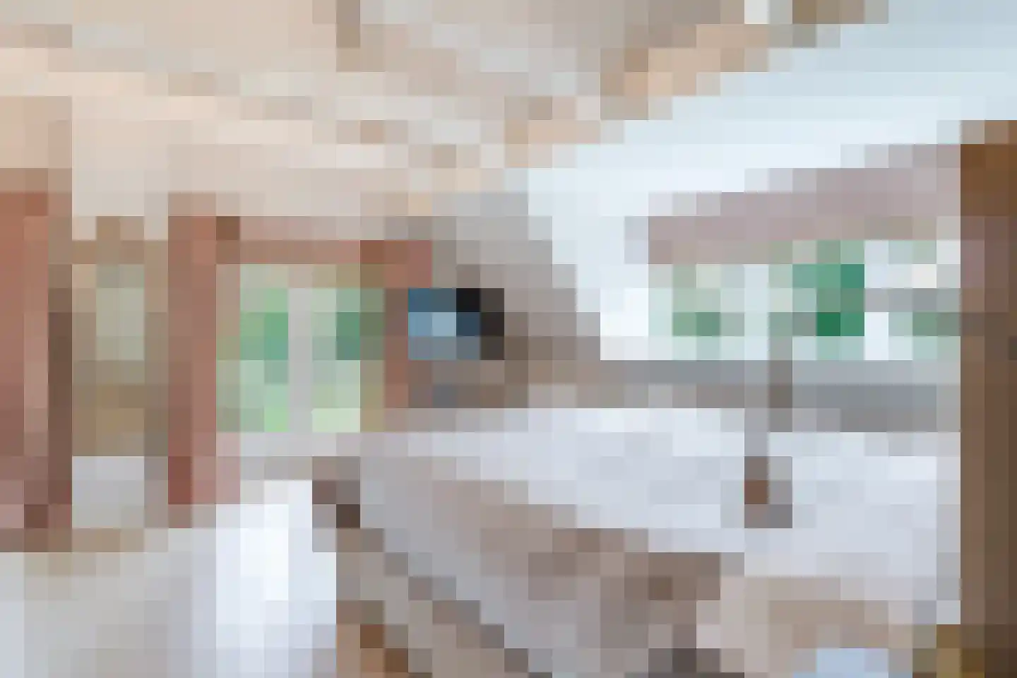 Eeuwigelaan 25 Bergen (NH) thumbnail 37