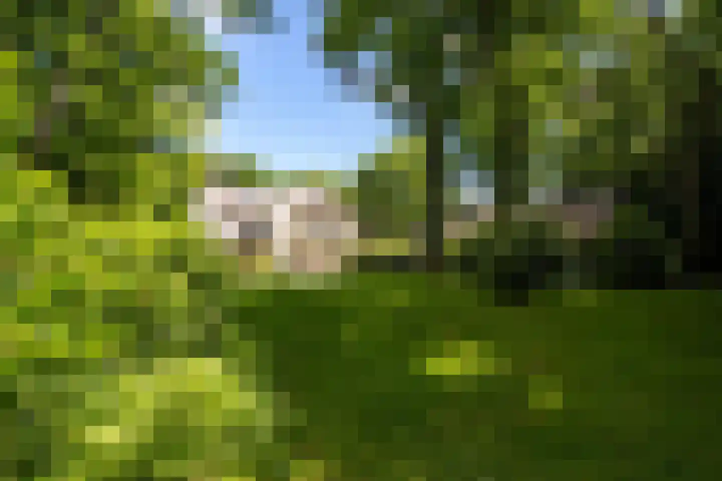 Eeuwigelaan 25 Bergen (NH) thumbnail 38