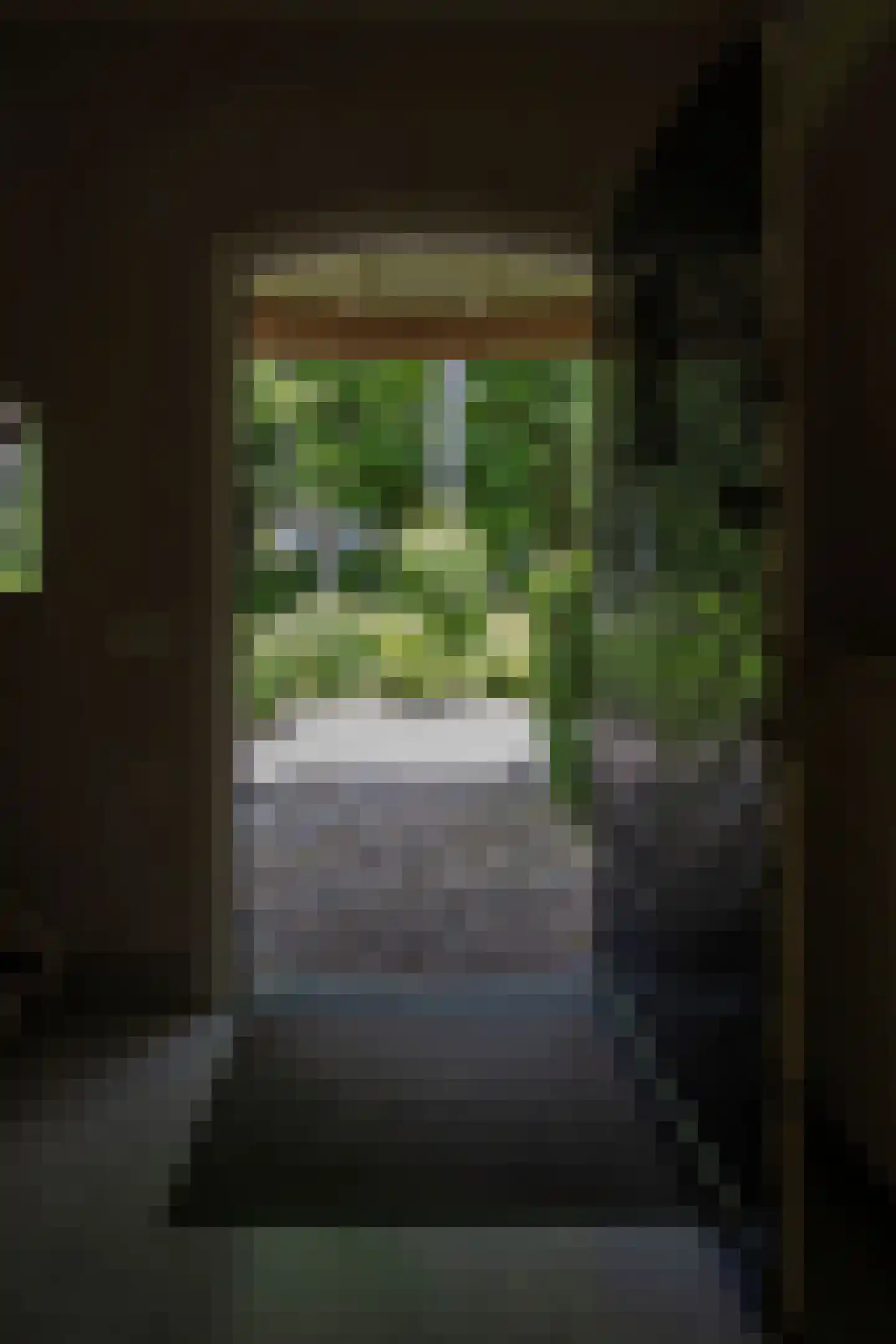 Eeuwigelaan 25 Bergen (NH) thumbnail 39