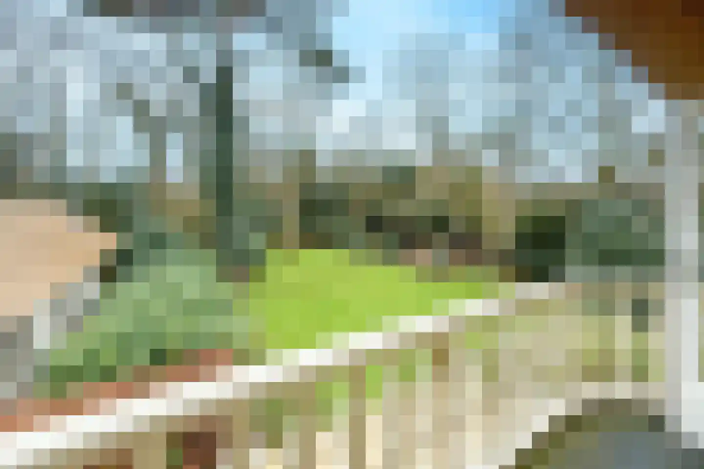 Eeuwigelaan 25 Bergen (NH) thumbnail 39