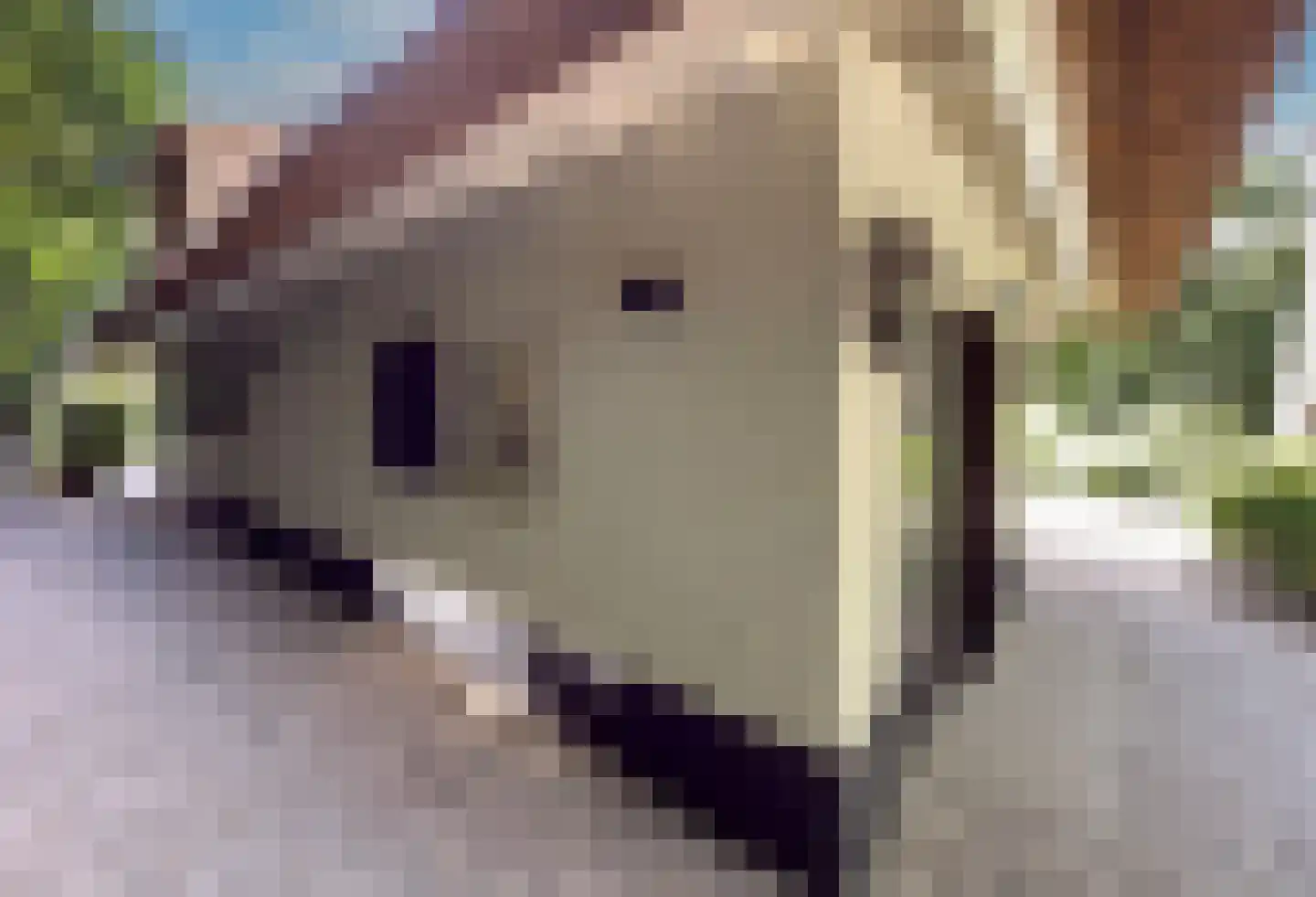 Eeuwigelaan 25 Bergen (NH) thumbnail 40