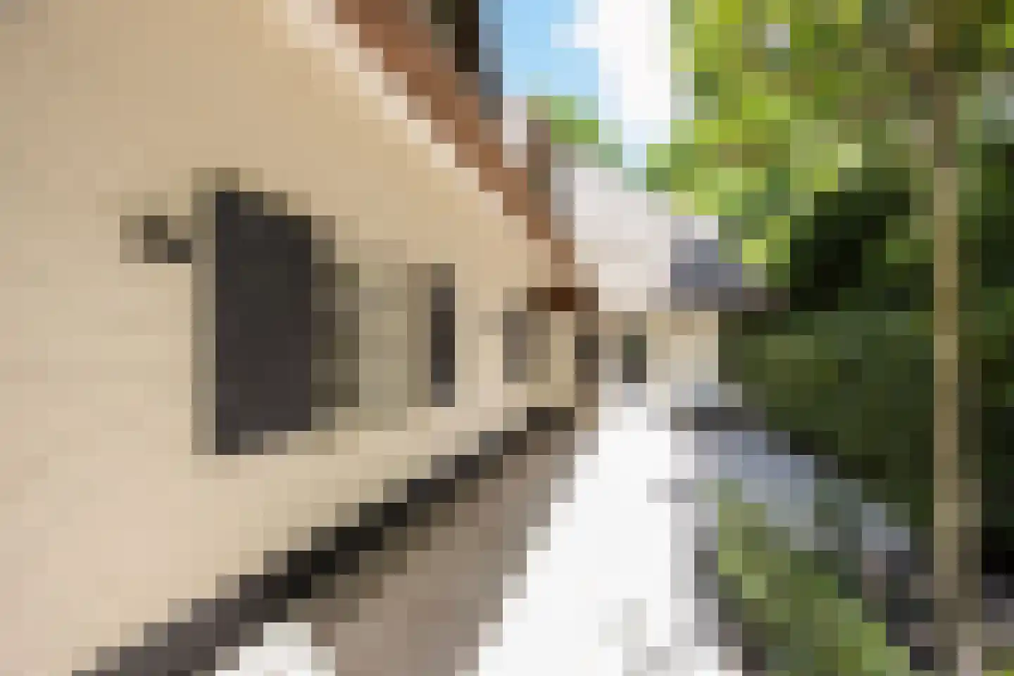 Eeuwigelaan 25 Bergen (NH) thumbnail 42