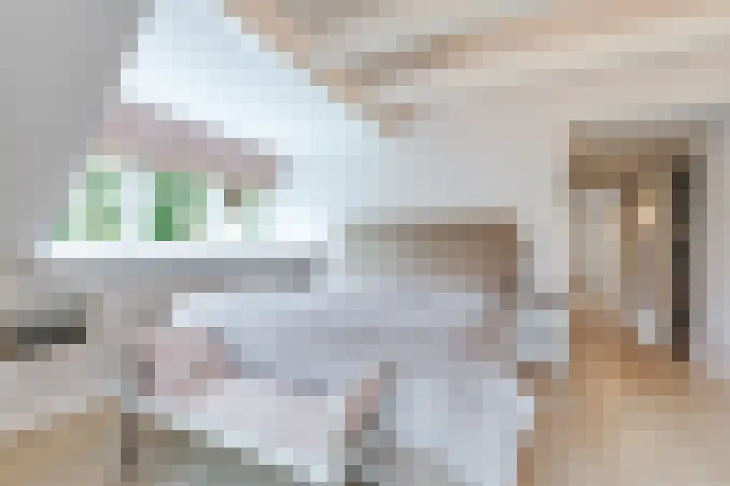 Eeuwigelaan 25 Bergen (NH) thumbnail 42