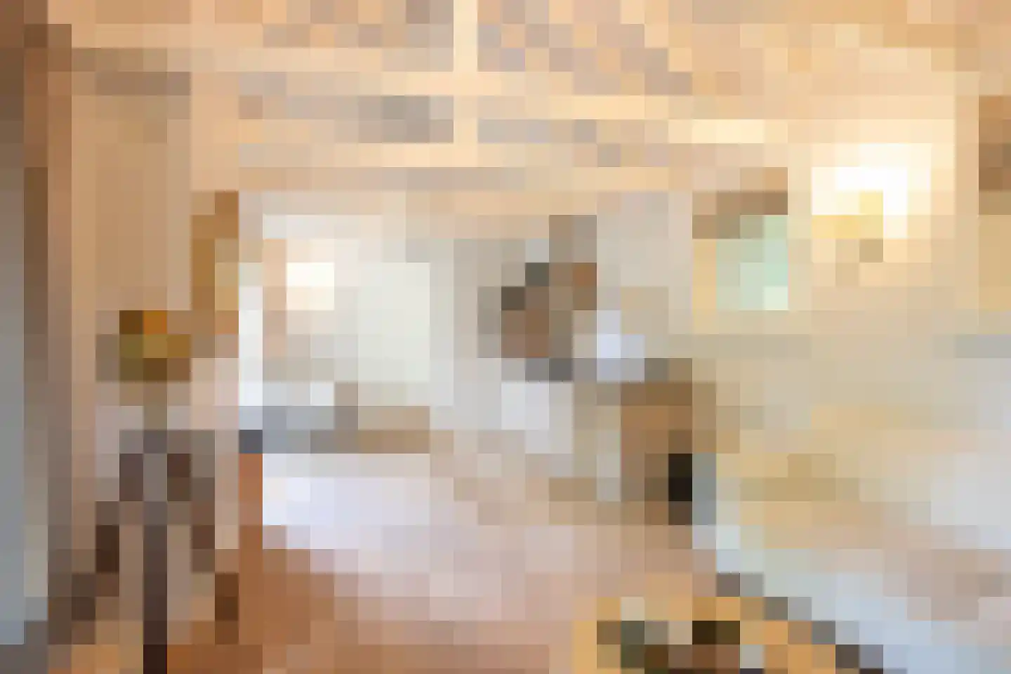 Eeuwigelaan 25 Bergen (NH) thumbnail 47