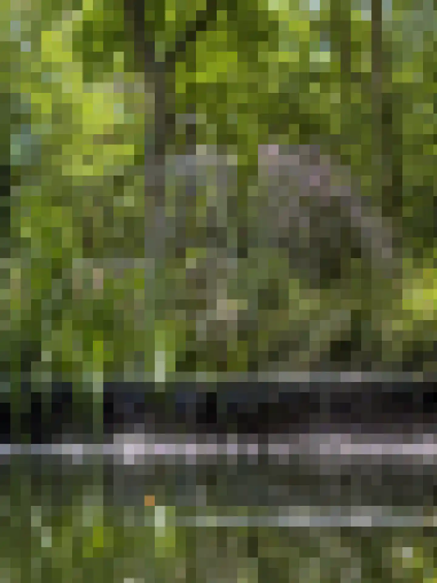 Eeuwigelaan 25 Bergen (NH) thumbnail 48