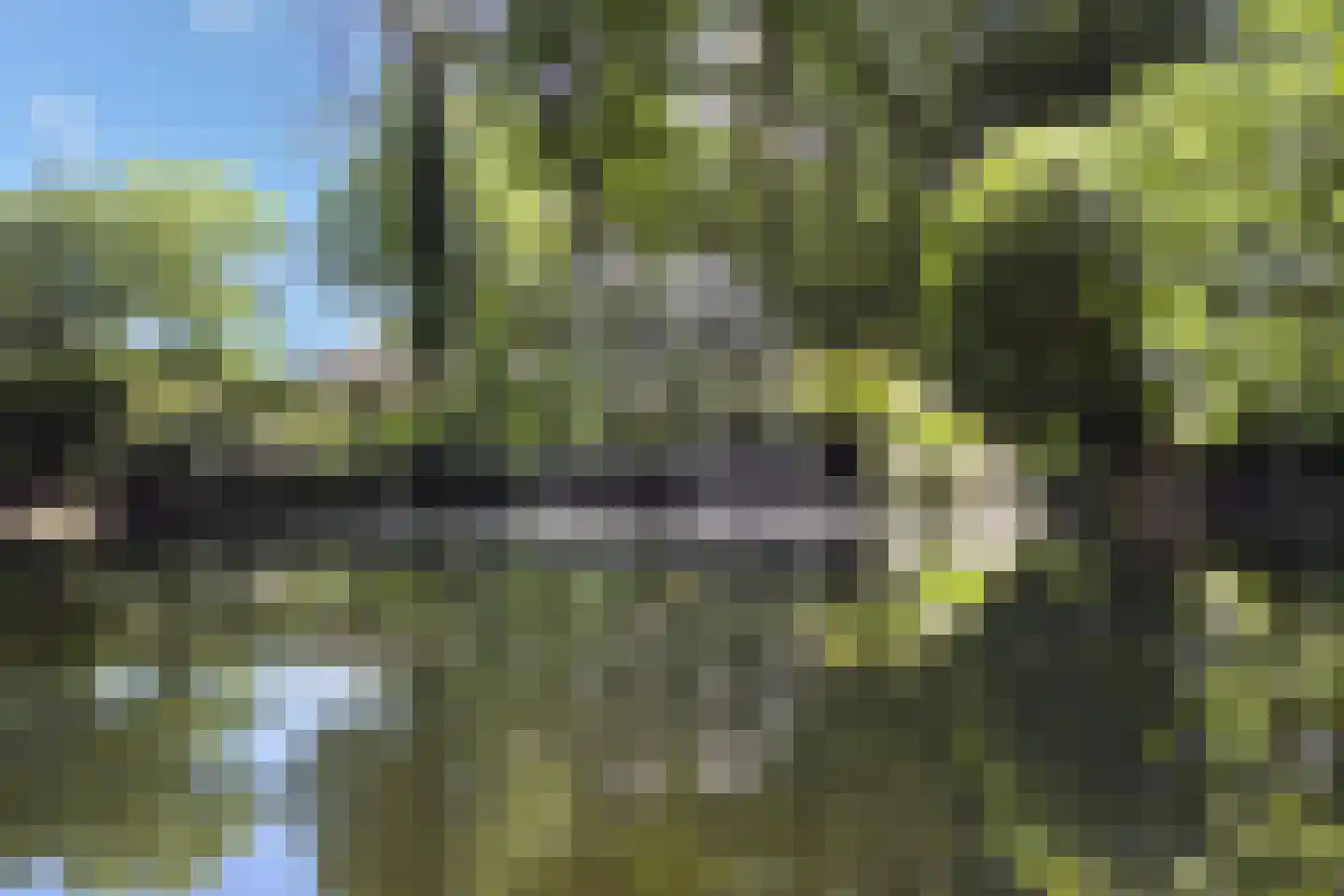 Eeuwigelaan 25 Bergen (NH) thumbnail 49