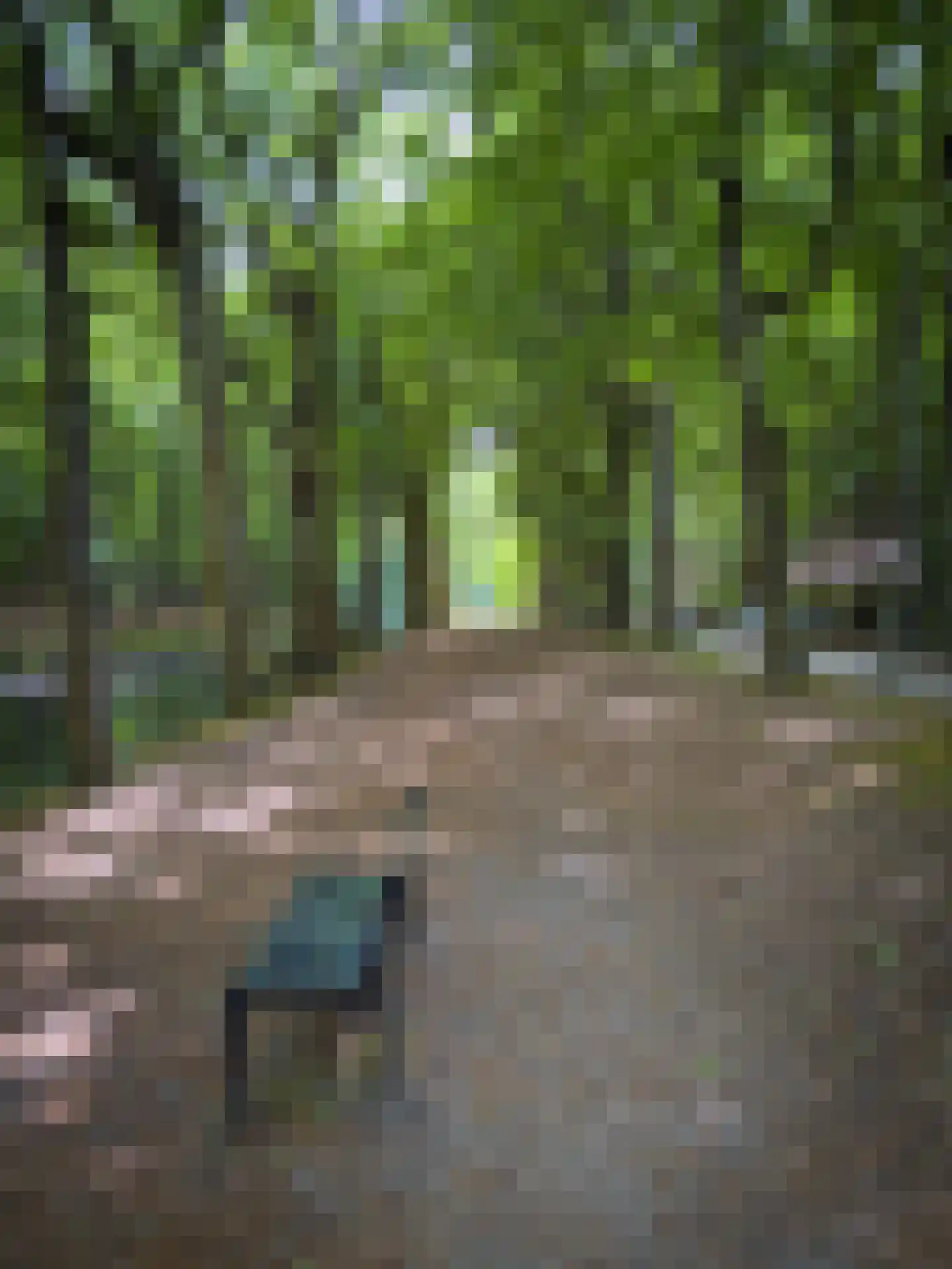 Eeuwigelaan 25 Bergen (NH) thumbnail 54