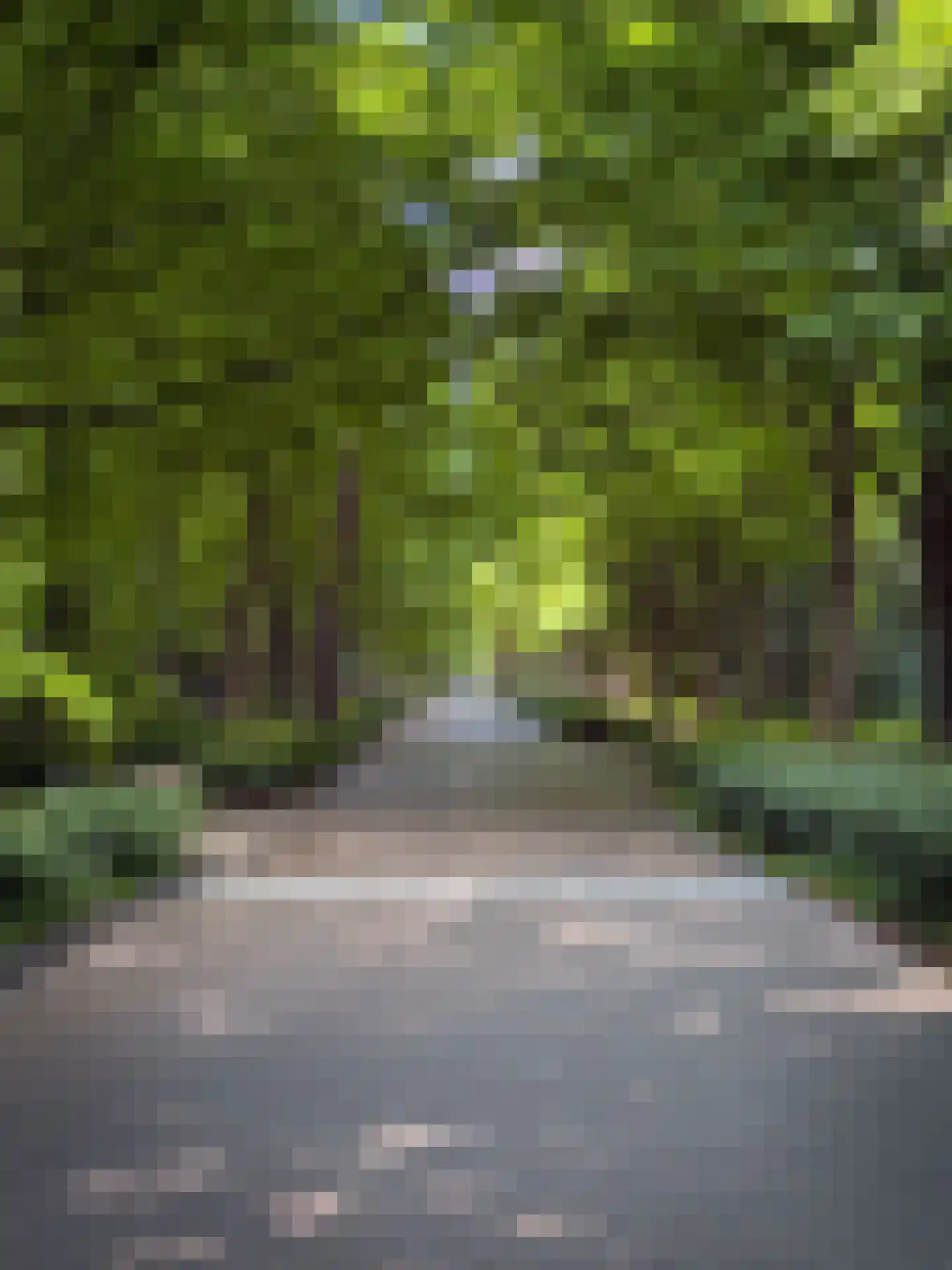 Eeuwigelaan 25 Bergen (NH) thumbnail 55