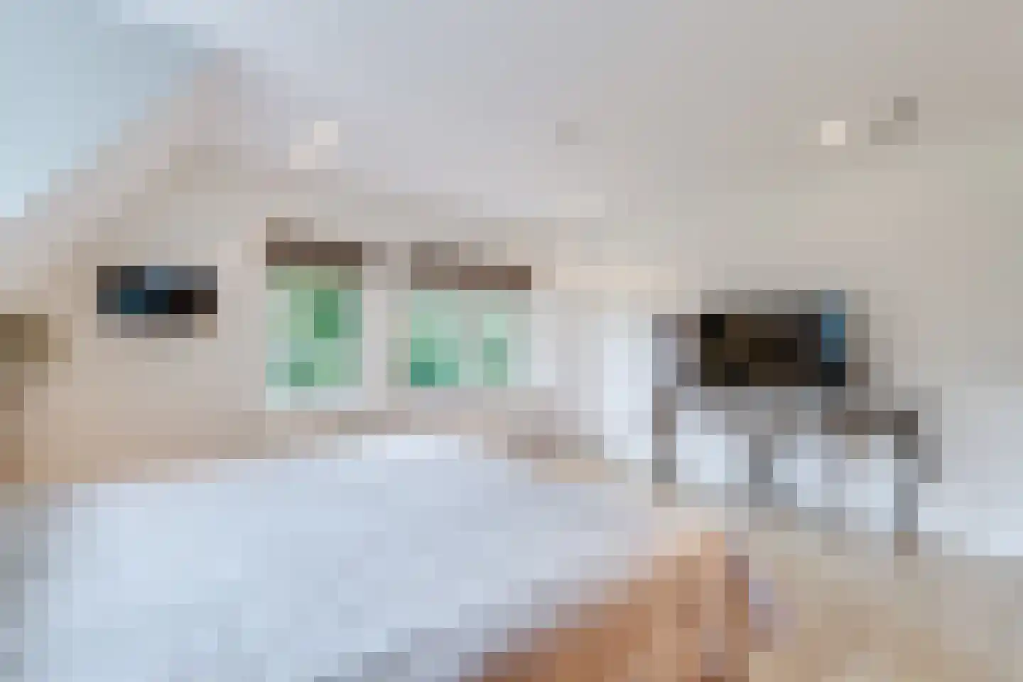 Eeuwigelaan 25 Bergen (NH) thumbnail 56