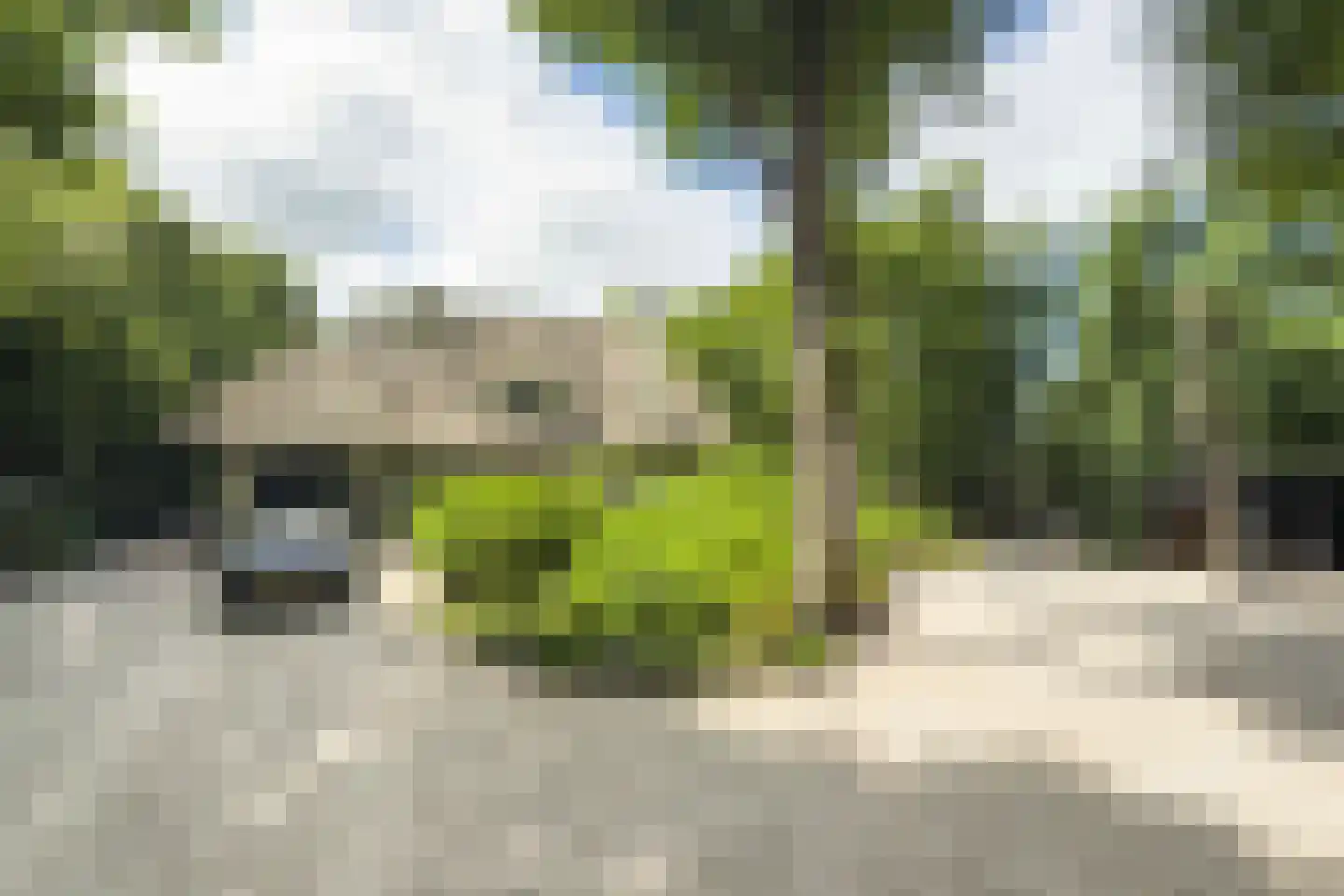 Eeuwigelaan 25 Bergen (NH) thumbnail 6